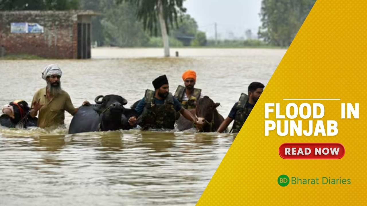 Flood in Punjab
